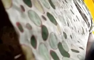 XXX وهو حزب علماني مع نمط سكسي عربي مجاني الإباحية