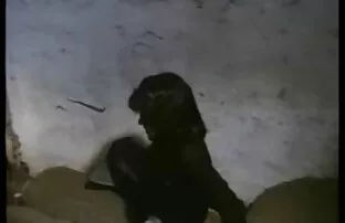 XXX الإيطالية Madalina راي سيلفيا سانت اللعين في سكسي تركي مجاني غرف مختلفة